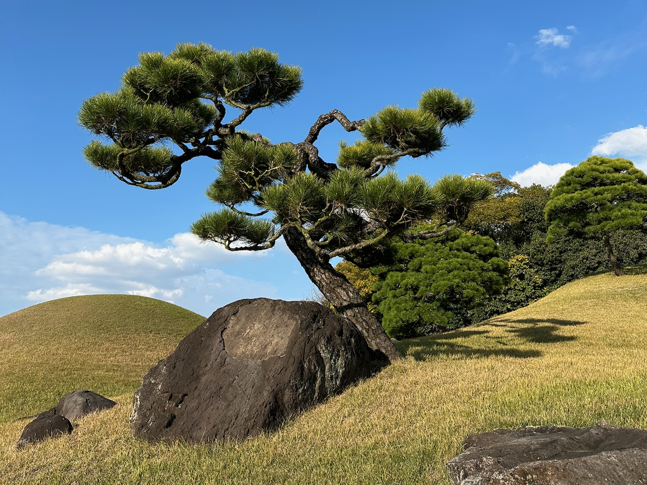 Kumamoto